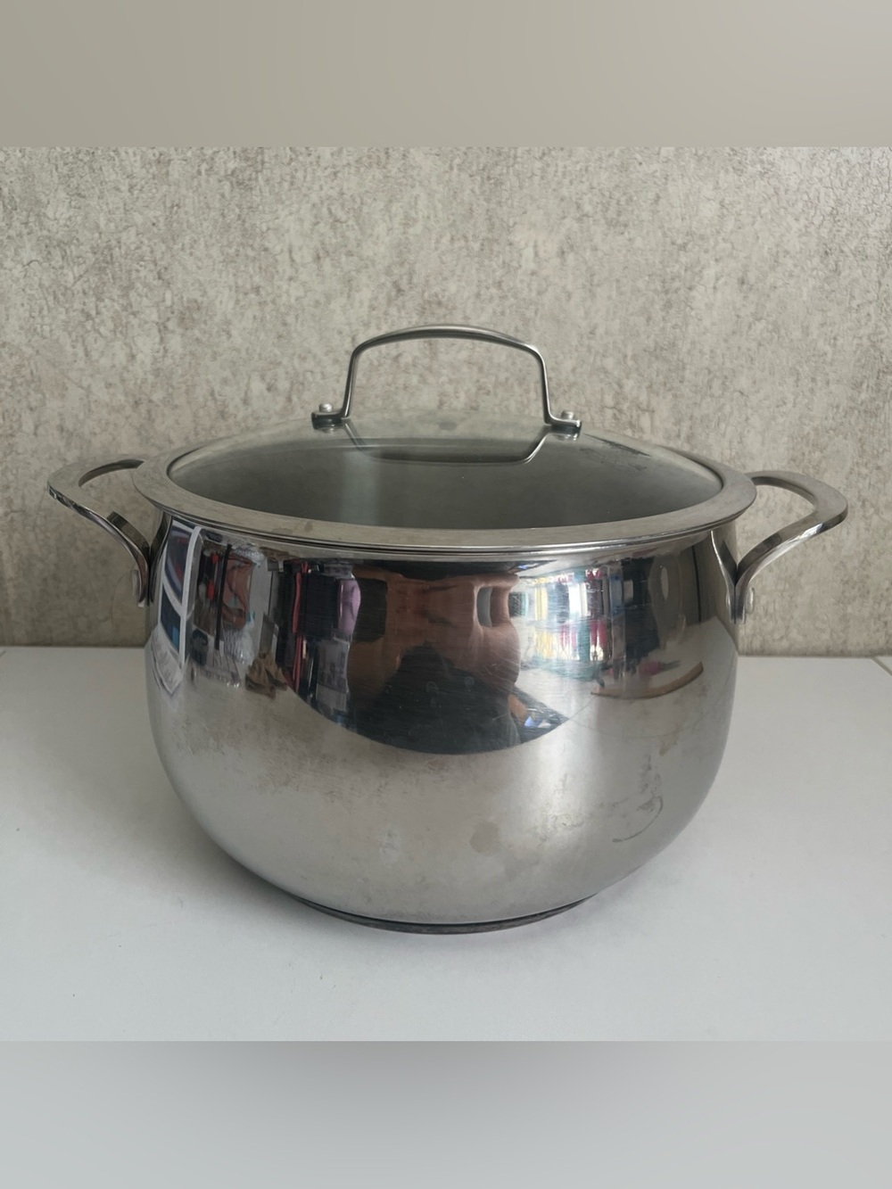 Stainless Steel Stock Pot with Glass Lid - Polished Silver